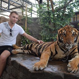 ���� ���������, ��������, 37 ��� - ��������� 25 ������� 2012