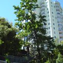 ���� ������, ����, 47 ��� - ��������� 21 ���� 2010 � ������ �������