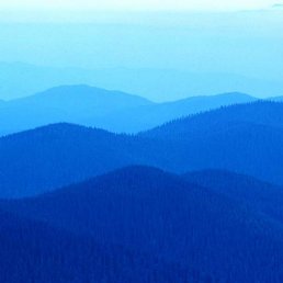 ���� ����, �����-���������, 40 ��� - ��������� 5 �������� 2011