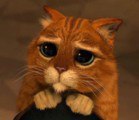 ���� ����� ��������, �����, 55 ��� - ��������� 8 ���� 2013 � ������ ���� ����������