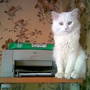 ���� ������, �����-���������, 64 ���� - ��������� 16 ������ 2010