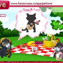 ���� Nika, ����, 38 ��� - ��������� 14 �������� 2010 � ������ �PetLove�