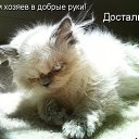 ���� ����� - ���������� ��������!!!, �����������, 56 ��� - ��������� 13 ������� 2009 � ������ ��������� ����һ