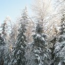  Serzh Van Der Maaremaan,  -  1  2009    