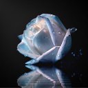 ���� ����� - ���������� ��������!!!, �����������, 56 ��� - ��������� 15 ������ 2010 � ������ ����ۻ