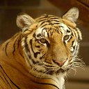 ���� ���, ������� - ��������� 4 ���� 2010 � ������ �������