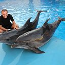 ���� �������, ������-��-����, 42 ���� - ��������� 1 ���� 2013 � ������ ���� ����������