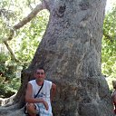 ���� ������, �������, 46 ��� - ��������� 3 ������� 2012 � ������ ���� ����������