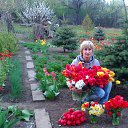 ���� ��������, �������� - ��������� 30 ��� 2012 � ������ ���� ����������