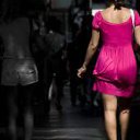  ion@(   ),  -  1  2012   PetLove