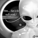 ���� ������������, ������, 43 ���� - ��������� 26 ������� 2010 � ������ �������