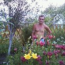 ���� ������, ������������, 66 ��� - ��������� 10 ���� 2013 � ������ ���� ����������