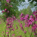 ���� ������, �������� - ��������� 16 ������� 2012 � ������ �������