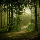 ���� �����, ����� - ��������� 24 ������ 2010 � ������ ��������