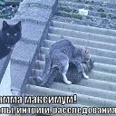 ���� ����, ������, 33 ���� - ��������� 16 ������� 2012 � ������ �������