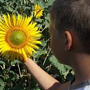 ���� ������, ����, 23 ���� - ��������� 19 ��� 2013 � ������ ���� ����������