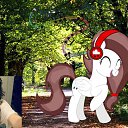 ���� Skarlet Blitz, ������, 29 ��� - ��������� 11 ���� 2013 � ������ ���� ����������