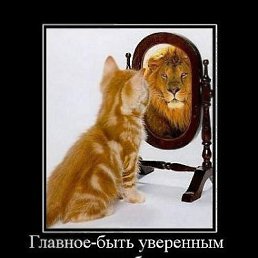 ���� ����, ���������, 45 ��� - ��������� 30 ���� 2011