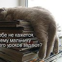 ���� ������, �����-��������� - ��������� 15 ���� 2011 � ������ ��������� �������