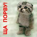 ���� Ayron, ����-���, 51 ��� - ��������� 16 ��� 2012 � ������ ������