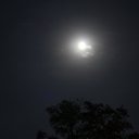 ���� Jouri, ������-��-���� - ��������� 1 ������� 2012 � ������ �������