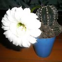 ���� ����, ������� - ��������� 24 ������� 2011 � ������ ���� ����������