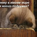 ���� Ninel, ���������, 61 ��� - ��������� 22 ���� 2012 � ������ �����Ȼ