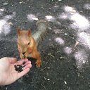 ���� �������!, �������������, 42 ���� - ��������� 20 ������� 2013 � ������ ���� ����������