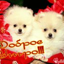 ���� Zabil.abisov.22, �����������, 43 ���� - ��������� 18 ����� 2012 � ������ ���� ����������