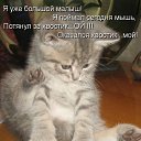   ( -        ,  -  27  2010      