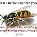 ���� ���@�����, �������, 36 ��� - ��������� 4 ������� 2012 � ������ �������