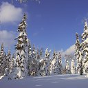 ���� �������, ����-���������, 62 ���� - ��������� 2 ������ 2012 � ������ ���� ����������