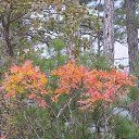 ���� Kitty, ���������� - ��������� 10 ������� 2012 � ������ �������