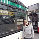 ���� ������ ��������, ������, 41 ��� - ��������� 2 ���� 2013 � ������ ���� ����������