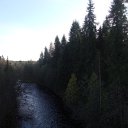  Serzh Van Der Maaremaan,  -  9  2009    