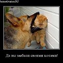 ���� ���������, ������������� - ��������� 16 ������ 2012 � ������ ��������