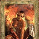  , , 33  -  21  2010    : THE WiTCHER