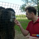 ���� ����, ������, 56 ��� - ��������� 28 ������� 2011 � ������ ��������� �����