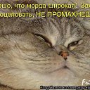 ���� �������, �����������, 61 ��� - ��������� 9 ��� 2012 � ������ �������