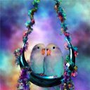  ~~,  -  4  2010   Carol Cavalaris,      .