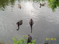 ���� ���������, �����������, 48 ��� - ��������� 3 ������ 2012