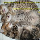���� ����, ����������� - ��������� 10 ������� 2010 � ������ ������� ���� �������) ����� 2�