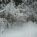 ���� �����, �����, 62 ���� - ��������� 23 ������ 2011 � ������ �����