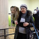 ���� ������, ���������, 67 ��� - ��������� 26 ������� 2013 � ������ ���� ����������