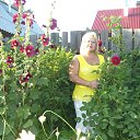 ���� ������, ��������, 67 ��� - ��������� 1 �������� 2012 � ������ ���� ����������