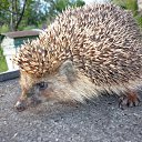 ���� �������, ���������, 69 ��� - ��������� 18 ������� 2011 � ������ ����