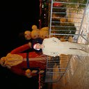 ���� ���������, ���������, 42 ���� - ��������� 22 ��� 2012 � ������ ���� ����������