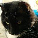 ���� Djokerz, ����������-��-�����, 44 ���� - ��������� 29 ������ 2010 � ������ �������