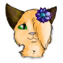 ���� �����, ������ - ��������� 10 ������� 2012 � ������ ���� �������� � �� �� - �����