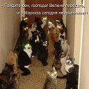 ���� ����� - ���������� ��������!!!, �����������, 56 ��� - ��������� 13 ������� 2009 � ������ ��������� ����һ